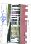 Аnimal 
